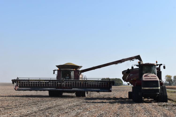 Harvest 2024 Update (15).JPG