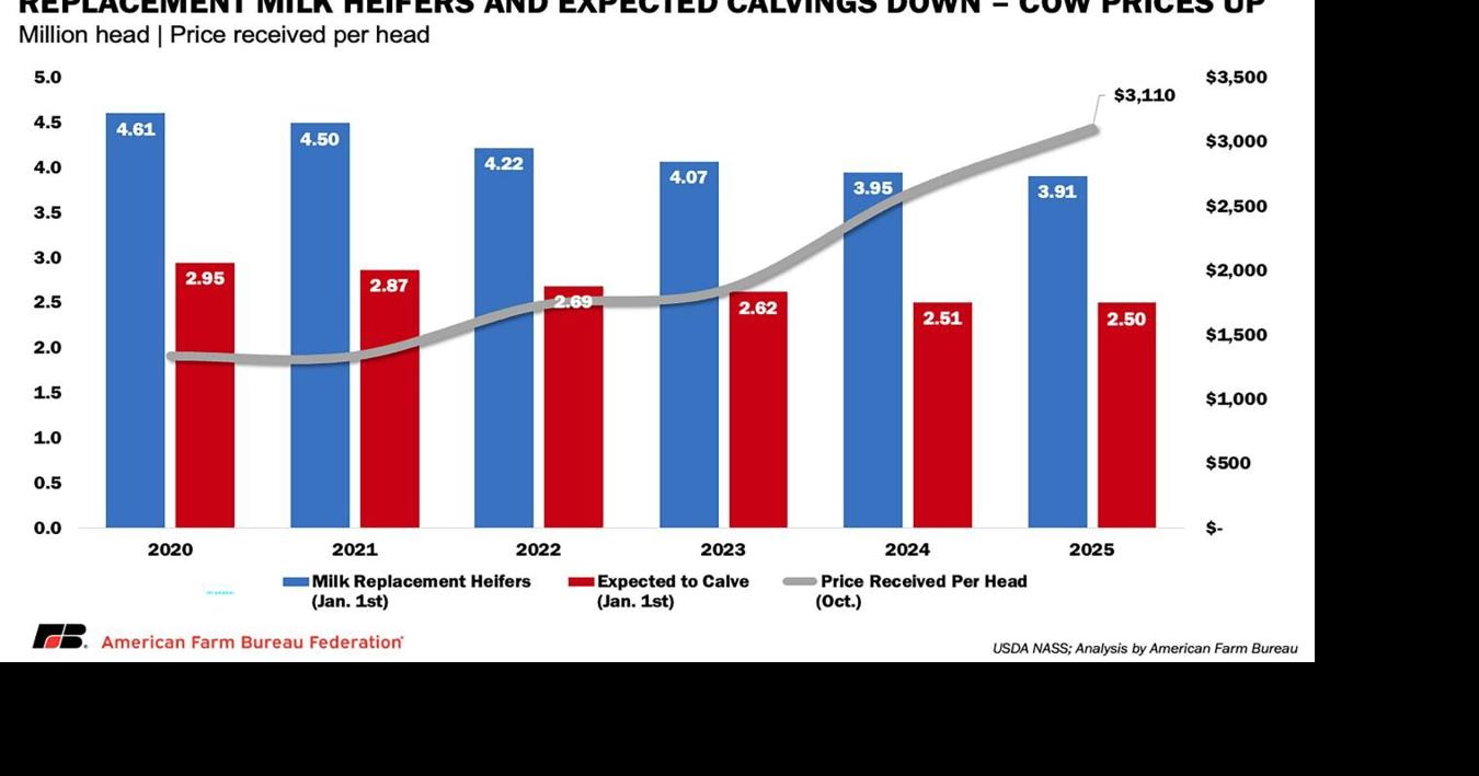 021926-agrv-mark-munch-4.pdf