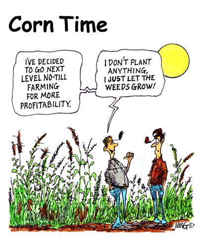 Corn Time by Bob Lang