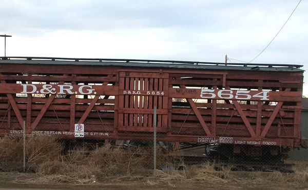 Getting cattle from the trains