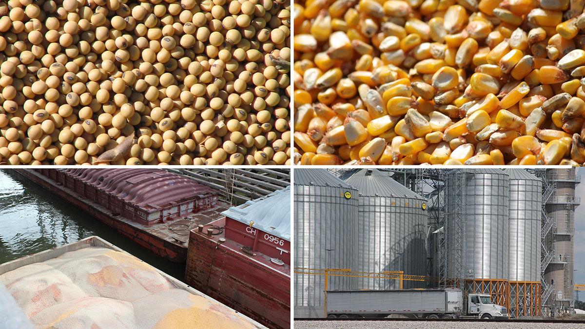 Corn Beans Barge and Truck Quad graphic