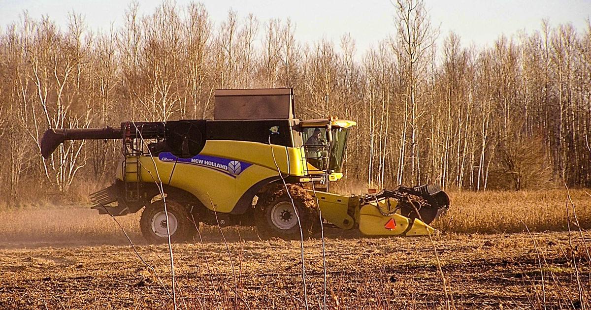 China buys no U.S. soybeans