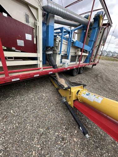 LsFrenz Seed Solutions