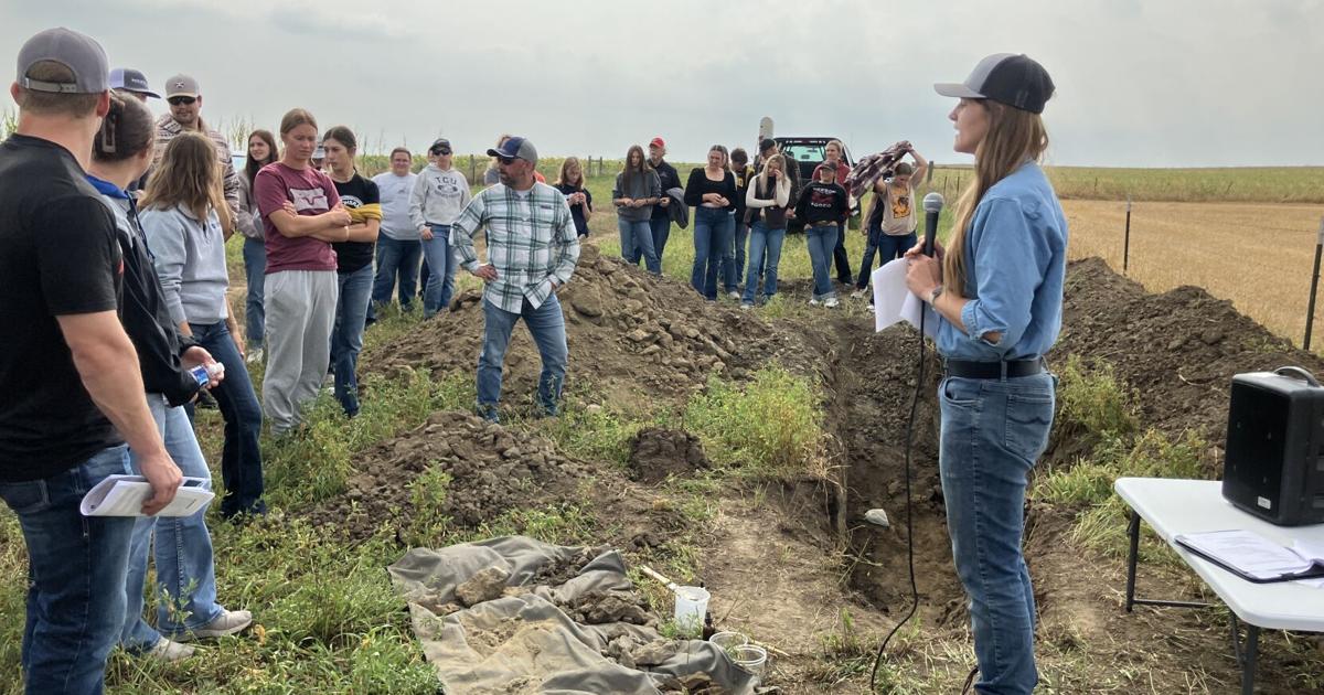 Soil pit