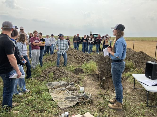 Soil pit