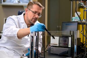 MSU researchers aim to eliminate plant-killing bacteria from hydroponic systems