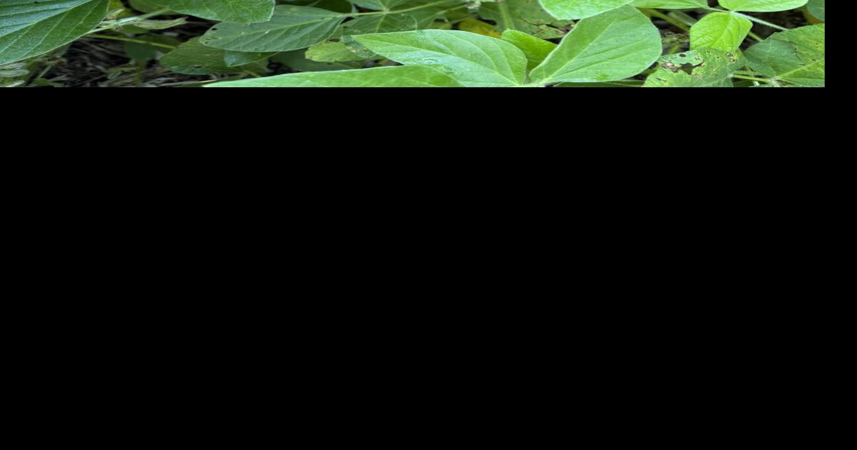 CW Holzwarth (6).jpg