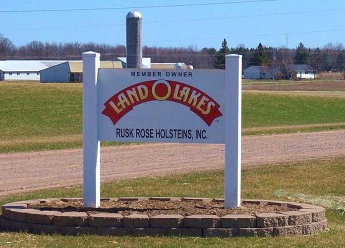 Welcome to Rusk Rose Holsteins