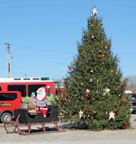 Hermann-Christmas-tree