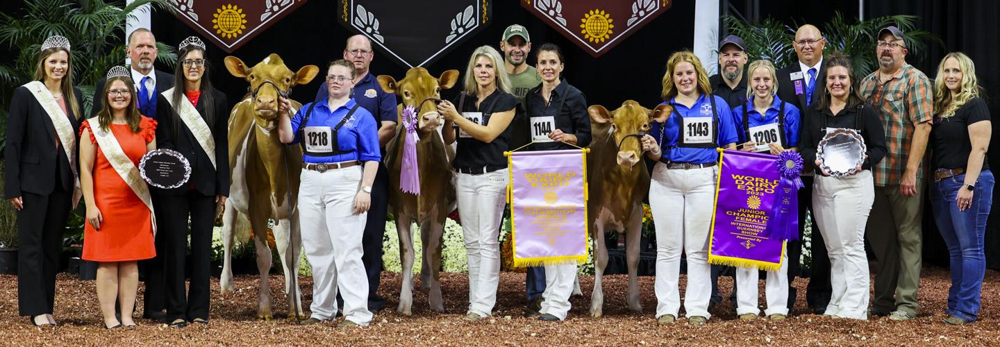 Junior champion and reserve junior champion of 2023 International Guernsey Show.