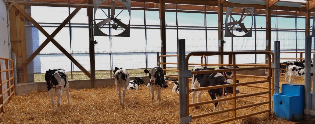 Keeping cool and content