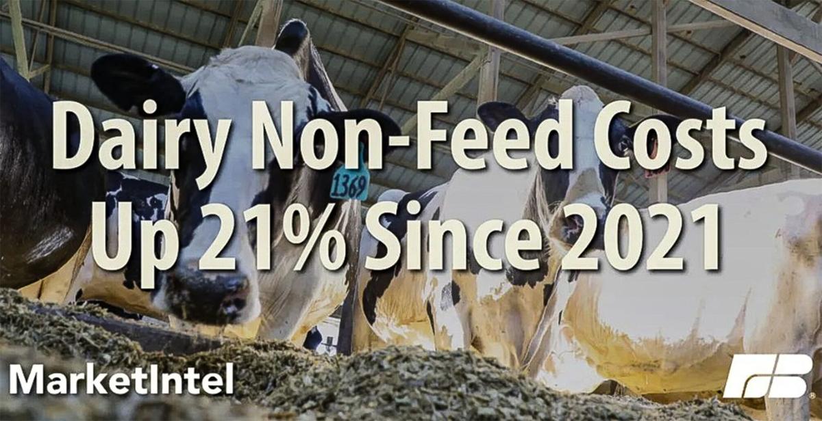 Dairy costs increase
