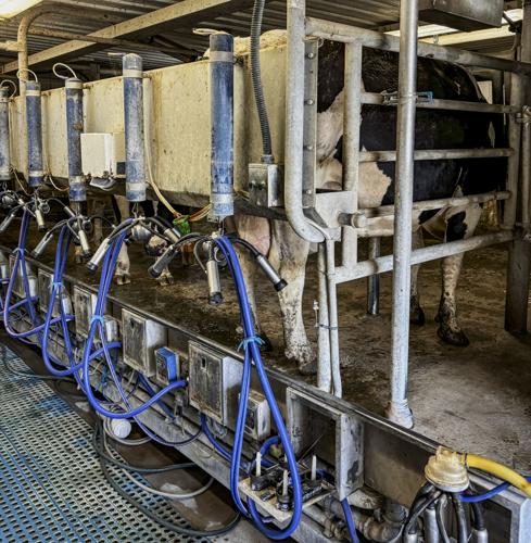 Milking parlor