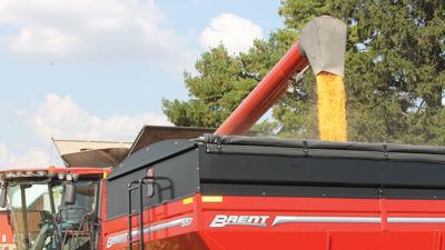 Corn unloading