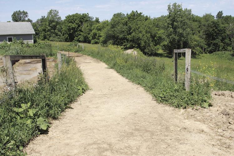 Cattle lane