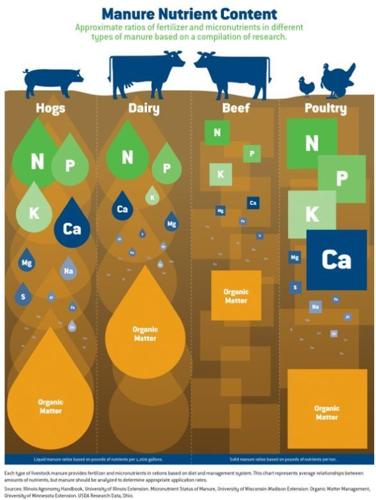 What's in manure