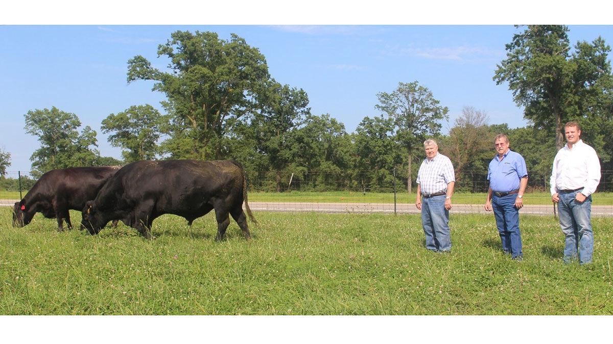 Sydenstricker Genetics bull Exceed