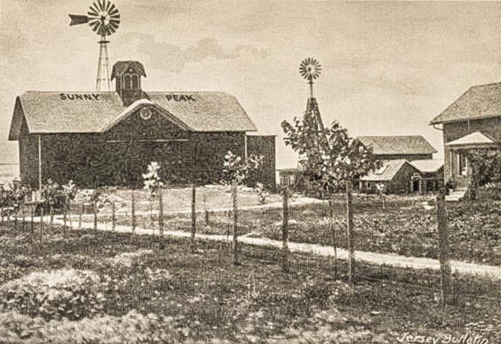 Sunny Peak Farm