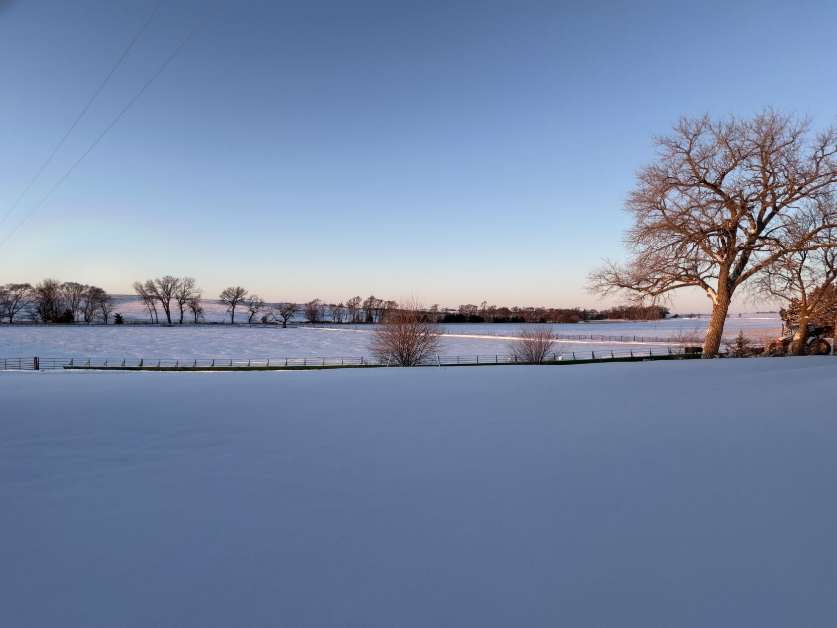 Down on the Farm 2.JPG