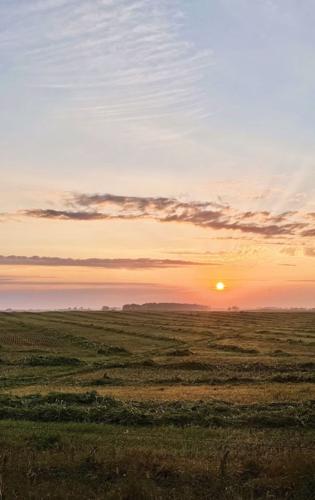Sandhills Sunrise (2).jpeg