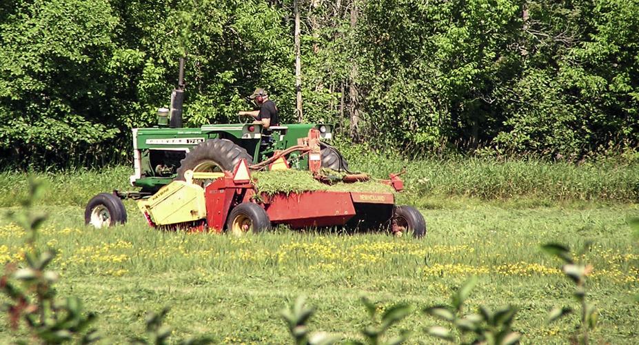 Tractor in field