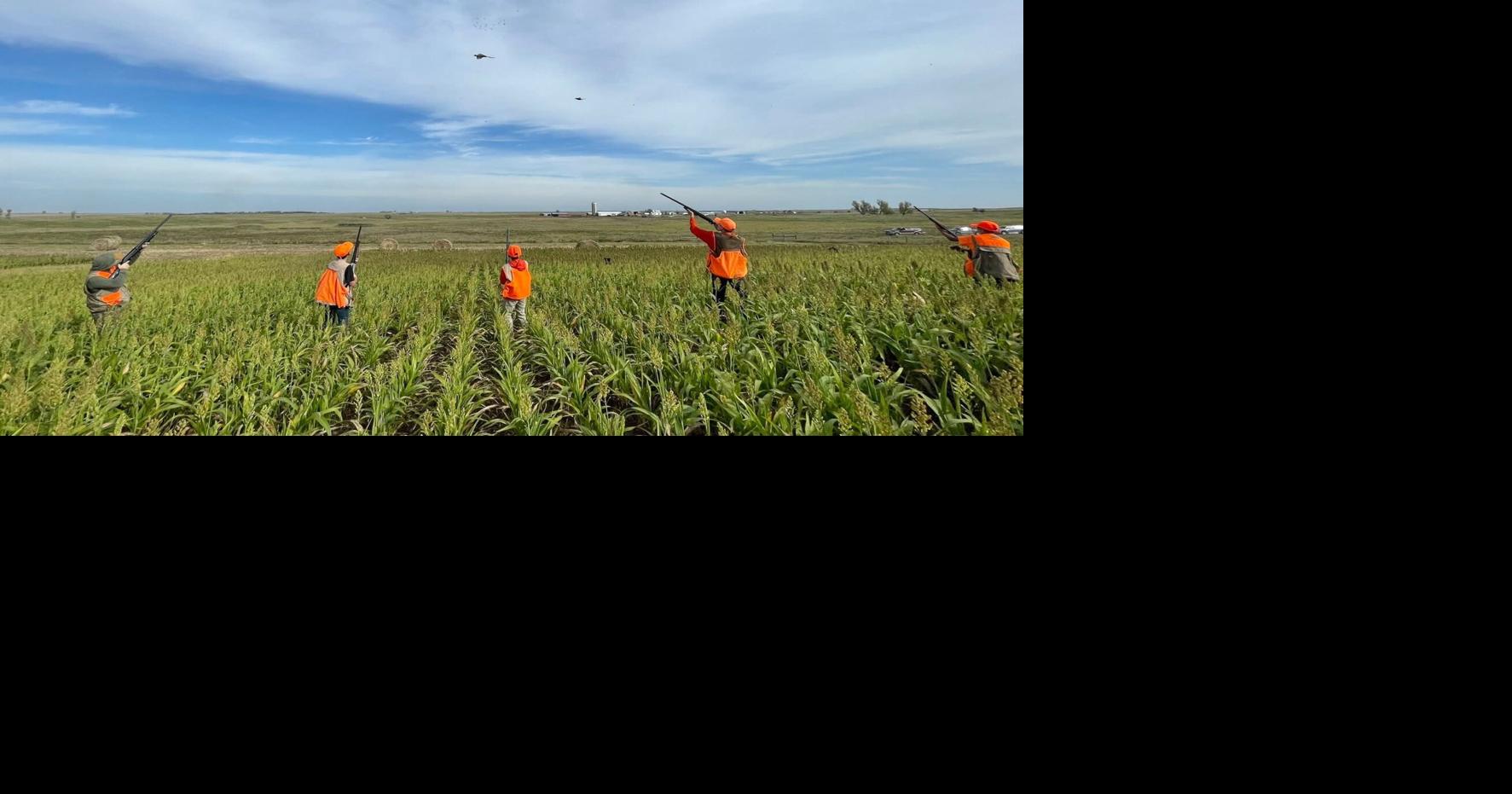 Fall harvest reveals wildlife benefits of soil health
