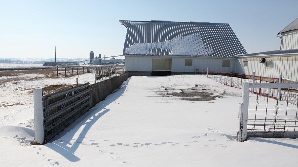 Winter farm