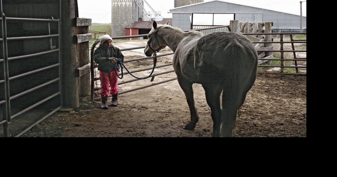 Vet Report How to handle heart murmurs in horses