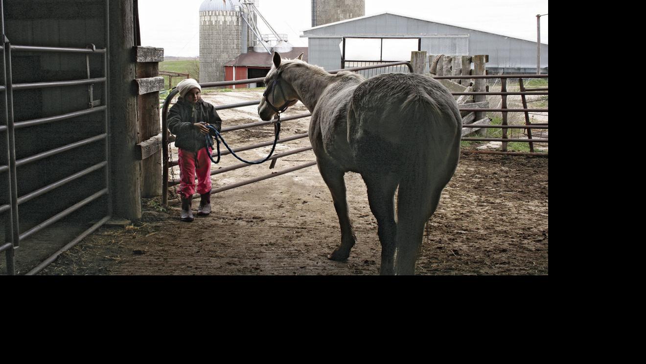 Vet Report How to handle heart murmurs in horses Equine