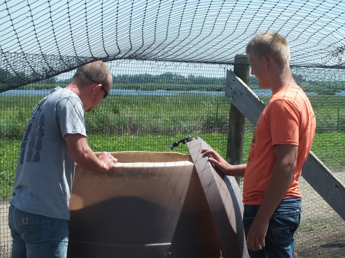 Swenson Starting To Finalize Orders For Hunting Birds Producer