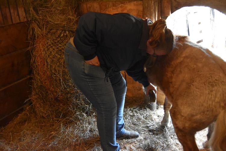 Little Hooves (1).JPG