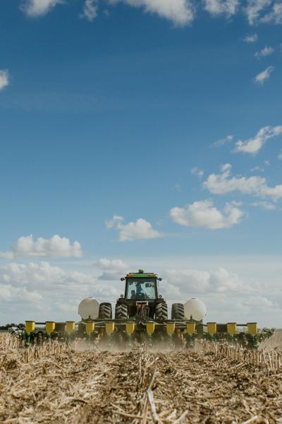 Corn planting