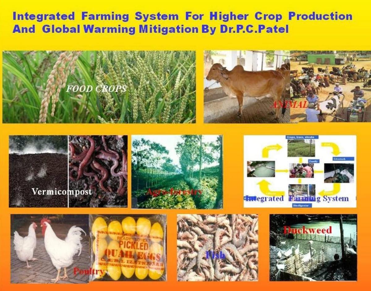 Integrated Farming System Agupdate Com