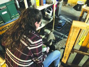 Down on the Farm 1.jpeg