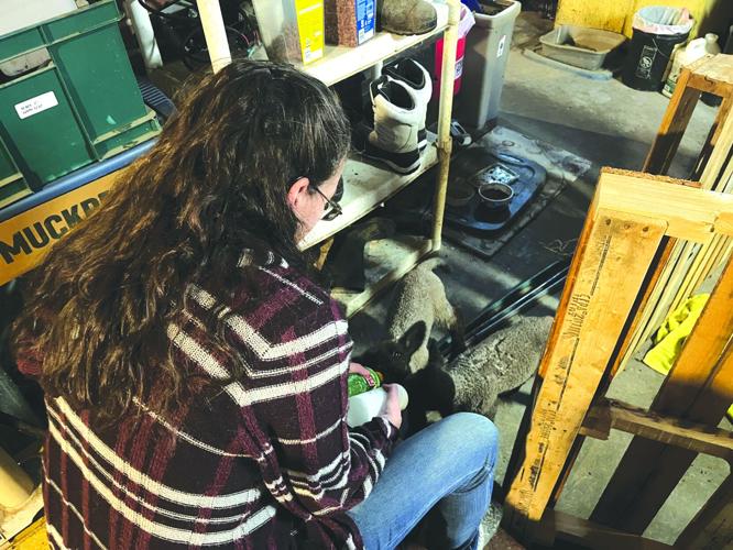 Down on the Farm 1.jpeg