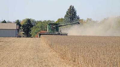Mitch Elliot harvests soybean