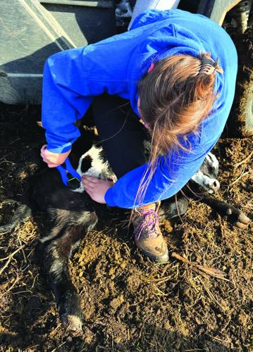 Crop Watcher Kerner (2) - worked.jpg