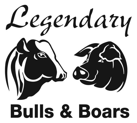 Legendary Bulls & Boars