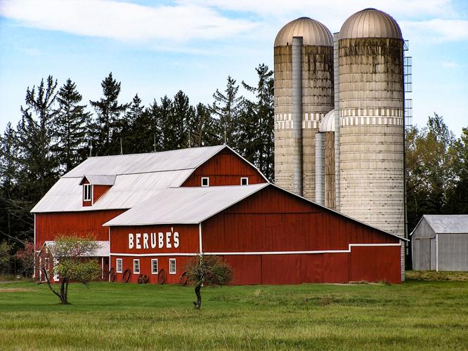 Dairy barn and farm and silos