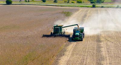 2023 soybean harvest