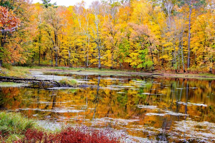 Lake reflection