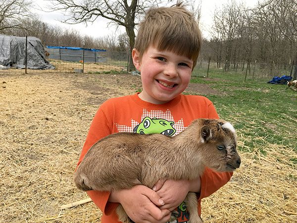 Levi McKenzie Udderly Naked kid goat