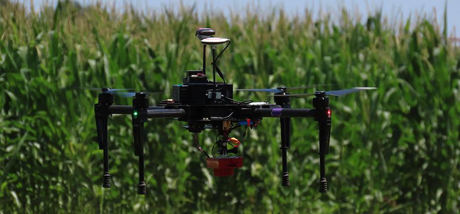 Drone