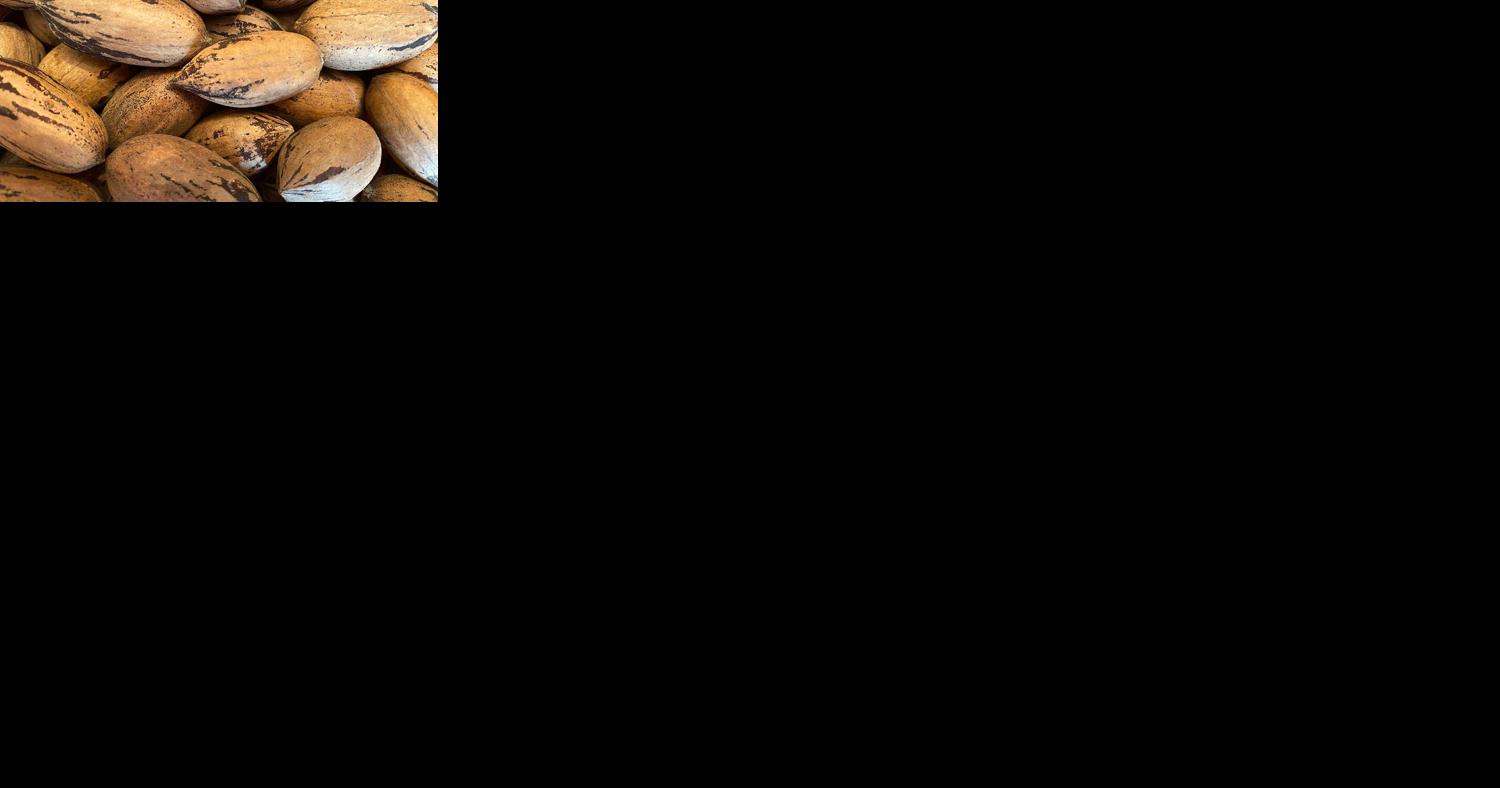 Locally grown pecans can be used in a variety of ways - Vimarsana News