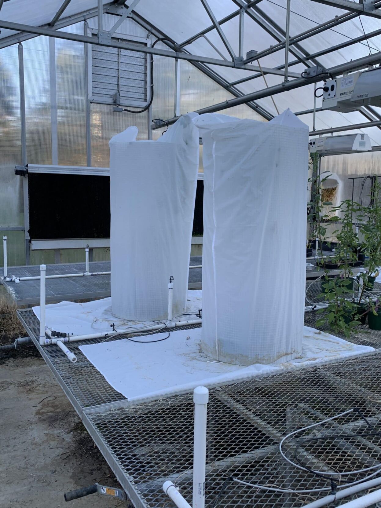 Pollination chamber