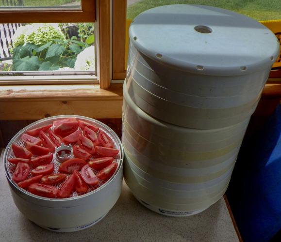 Tomatoes