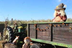 One happy harvest crew