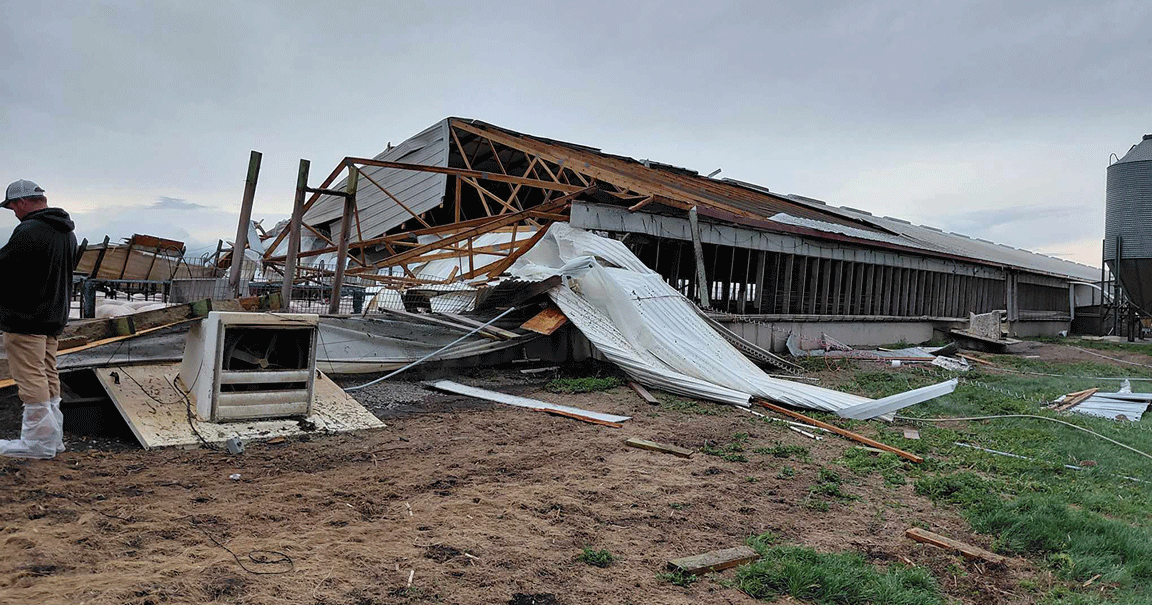 big-shed-damage.gif