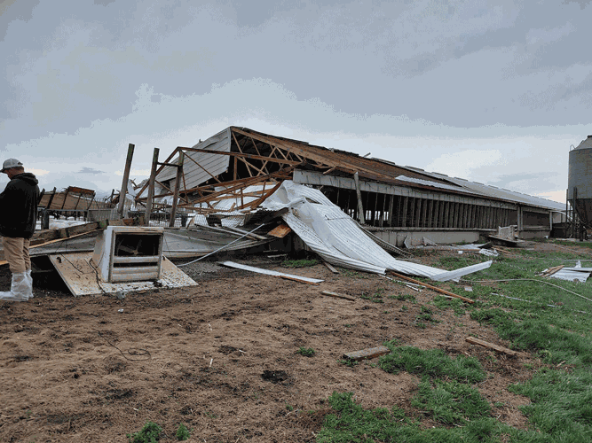 big-shed-damage.gif
