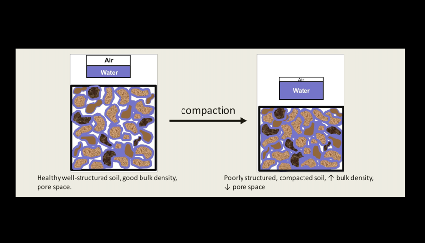 Soil compaction